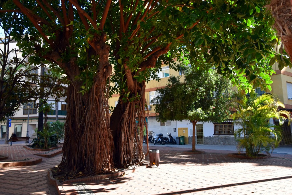 Foto de Almuñecar (Granada), España
