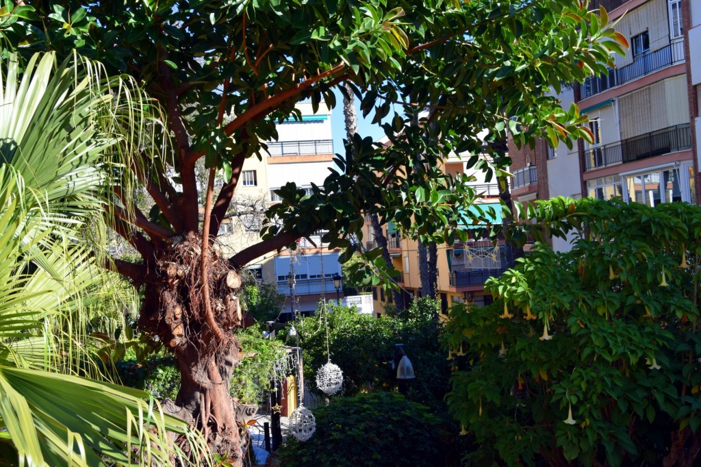 Foto de Almuñecar (Granada), España