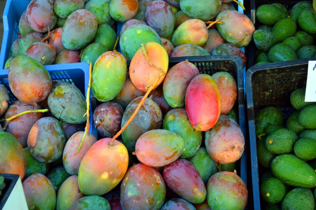 Foto: Mangos - Almuñecar (Granada), España