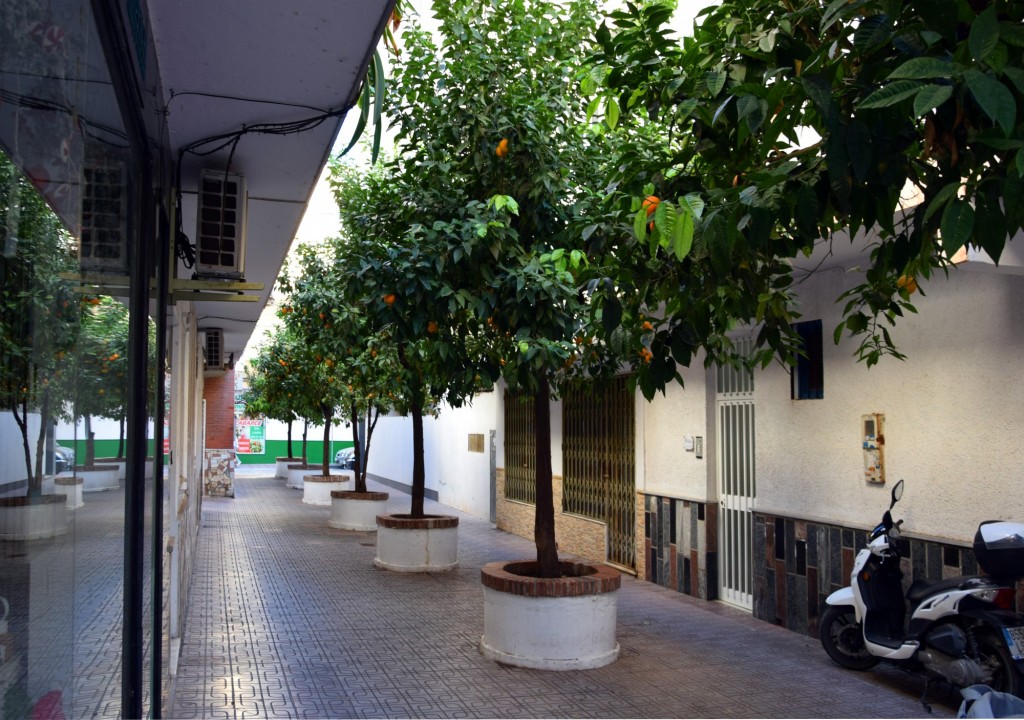 Foto: Calle Almería - Almuñecar (Granada), España