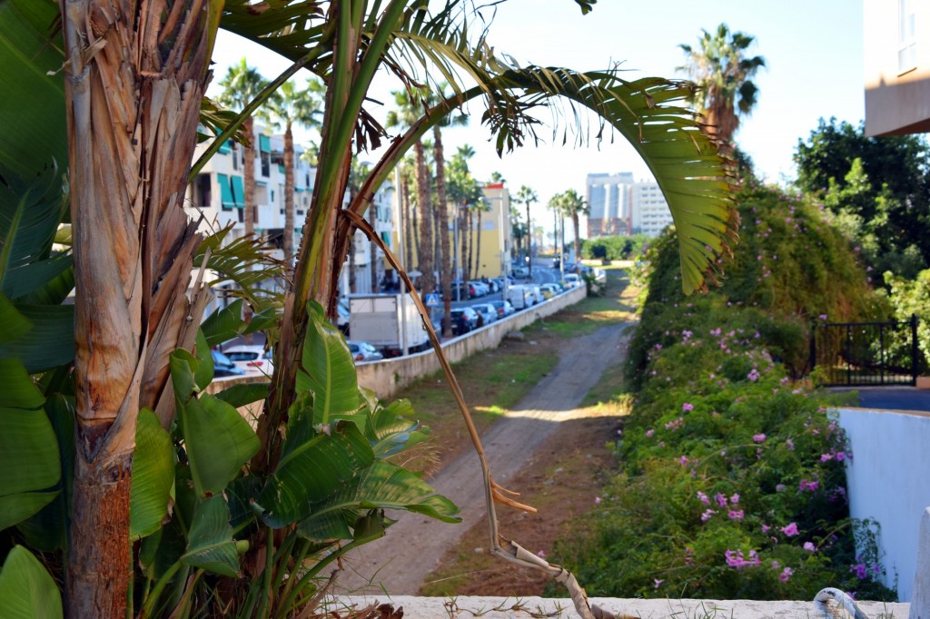 Foto: Cauce del Río Seco - Almuñecar (Granada), España