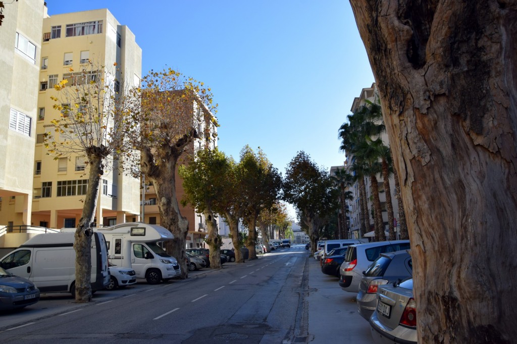 Foto: Avenida Costa del Sol - Almuñecar (Granada), España