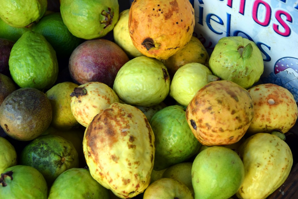 Foto: Guayabas - Almuñecar (Granada), España