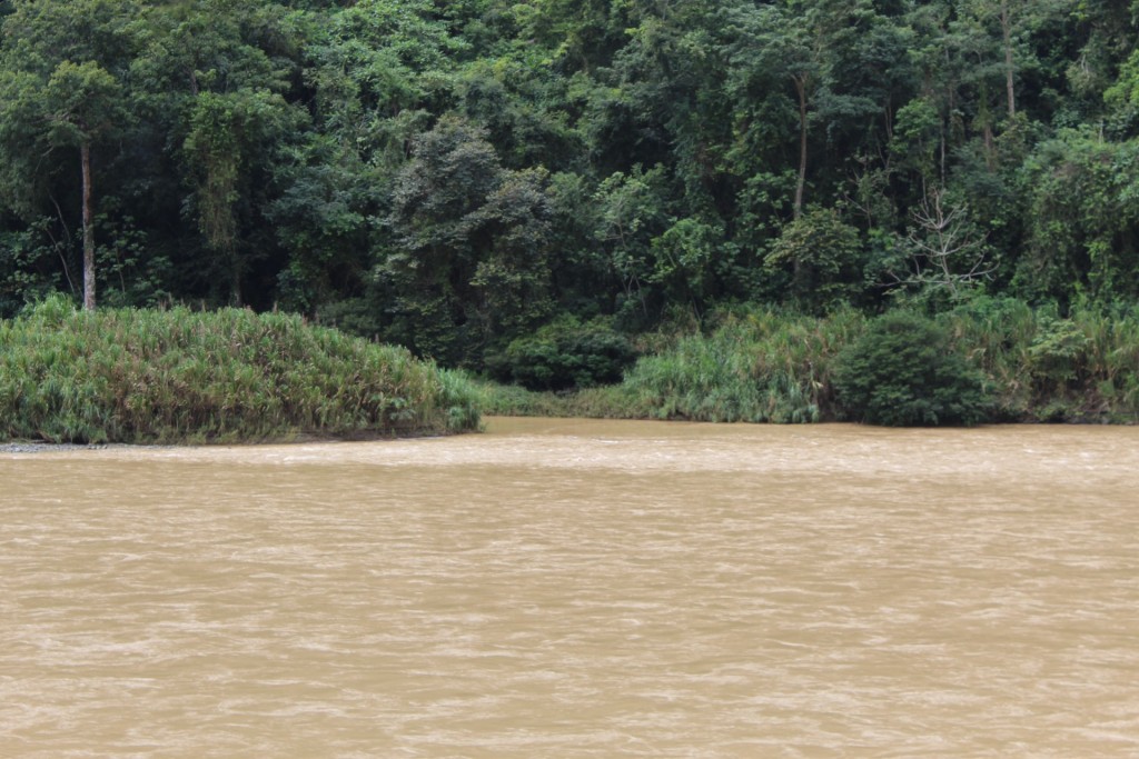 Foto de Buenos Aires, paso real (Puntarenas), Costa Rica