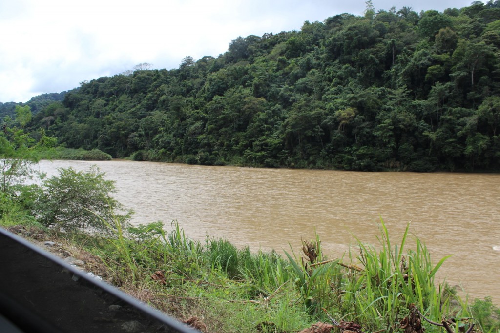 Foto de Buenos Aires, paso real (Puntarenas), Costa Rica