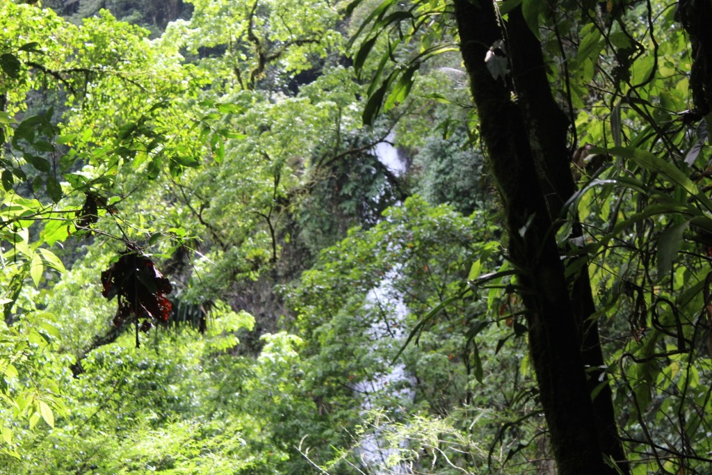 Foto de La fortuna (Alajuela), Costa Rica