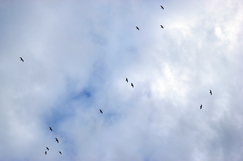 Foto de Almuñecar (Granada), España