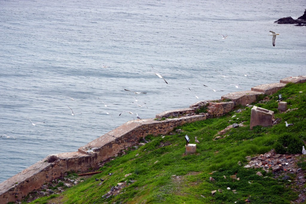 Foto de Almuñecar (Granada), España
