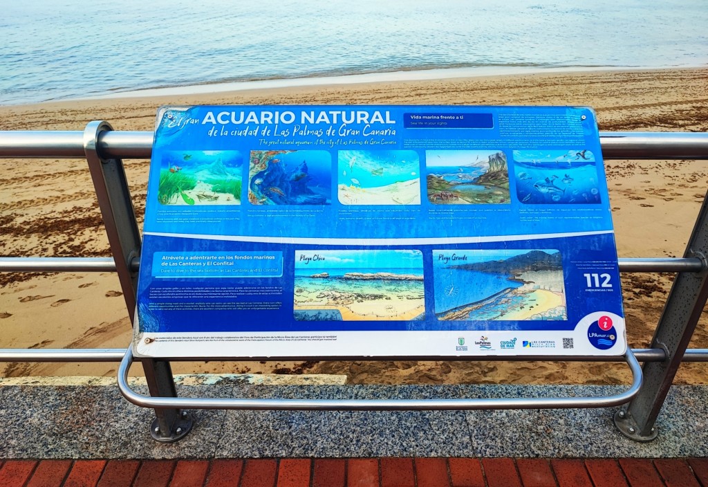 Foto: Playa de Las Canteras - Las Palmas de Gran Canaria (Las Palmas), España
