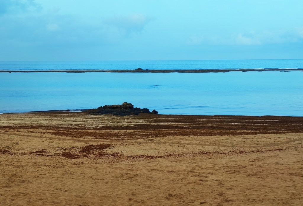 Foto: Playa de Las Canteras - Las Palmas de Gran Canaria (Las Palmas), España