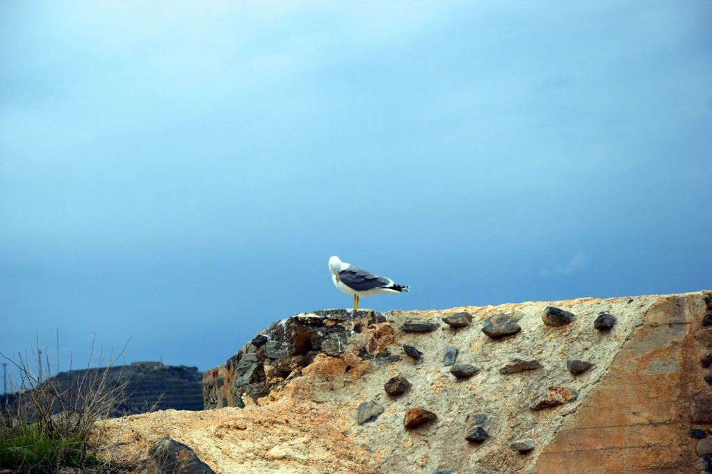 Foto de Almuñecar (Granada), España