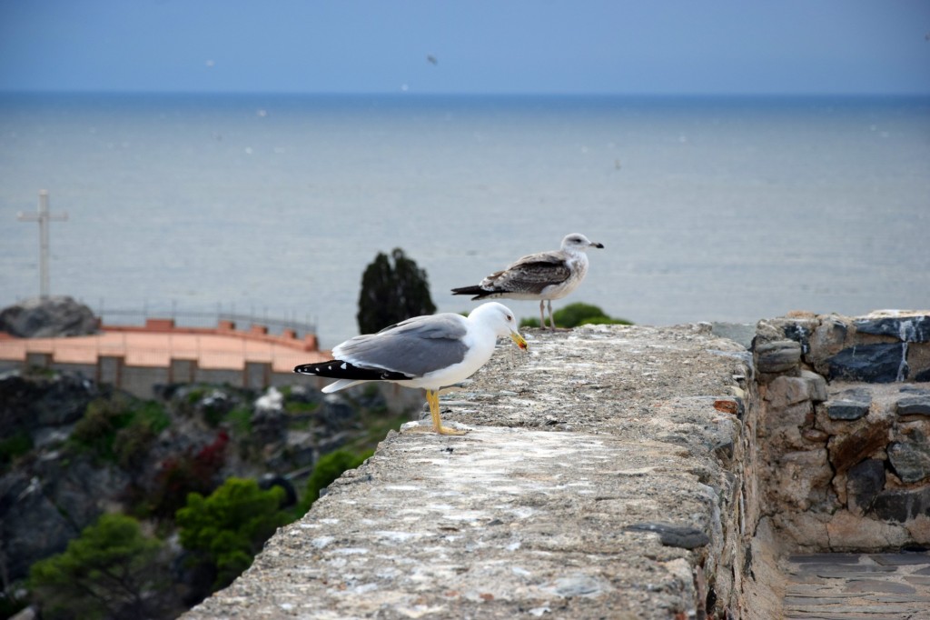 Foto de Almuñecar (Granada), España