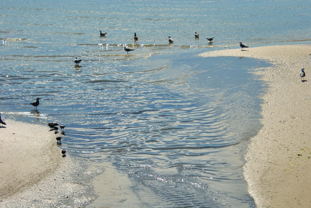 Foto: Playa - Cangas (Pontevedra), España