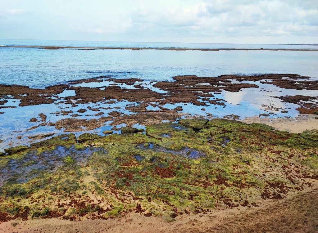 Foto: Playa de Las Canteras - Las Palmas de Gran Canaria (Las Palmas), España