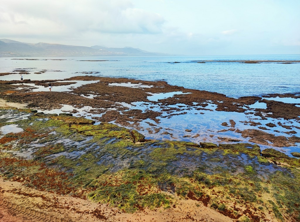 Foto: Playa de Las Canteras - Las Palmas de Gran Canaria (Las Palmas), España