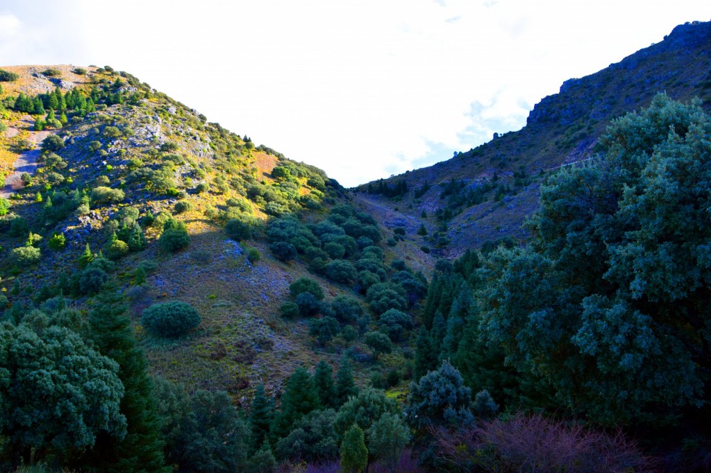Foto de Zahara de la Sierra (Cádiz), España