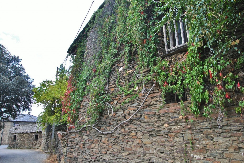 Foto: Centro histórico - Campillo de Ranas (Guadalajara), España