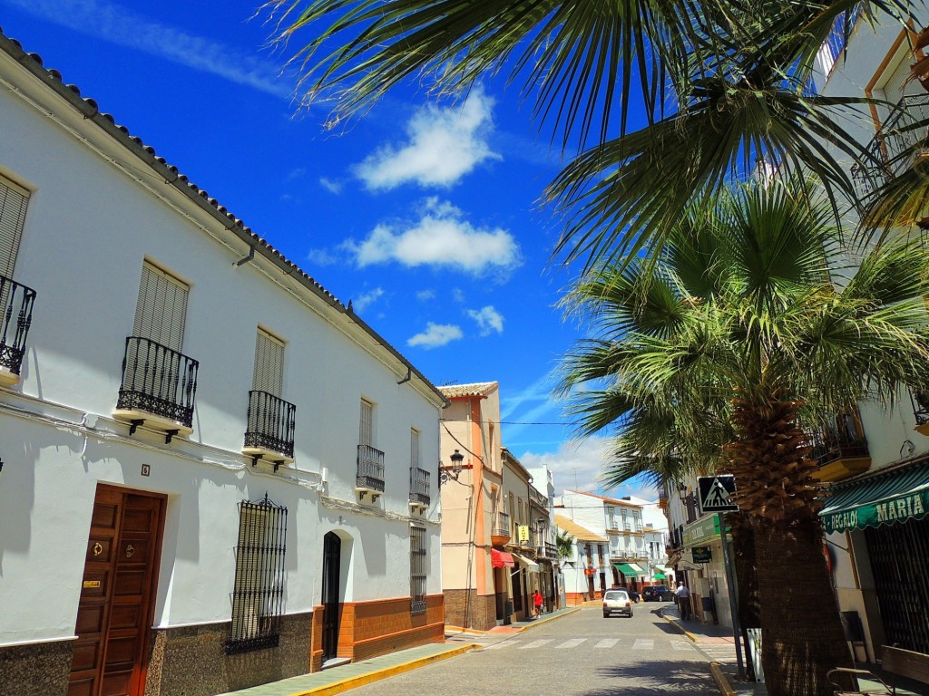 Foto: Calle Dr. Alcalá - El Saucejo (Sevilla), España