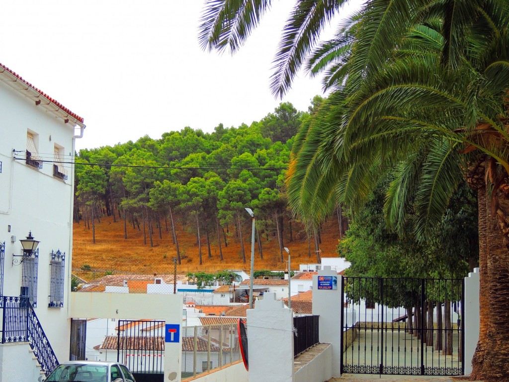 Foto: Calle Doctor Ramón y Cajal - El Gastor (Cádiz), España
