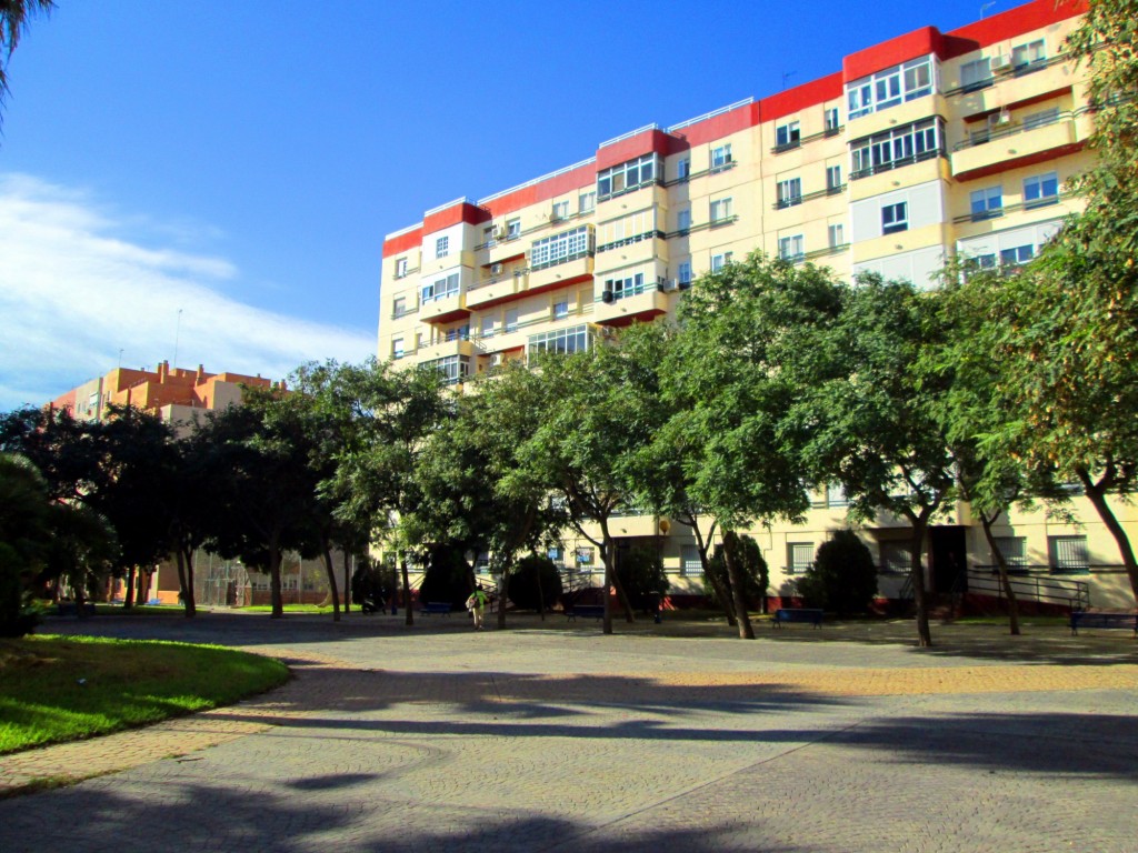 Foto: Calle Dr. Celestino Rey - San Fernando (Cádiz), España