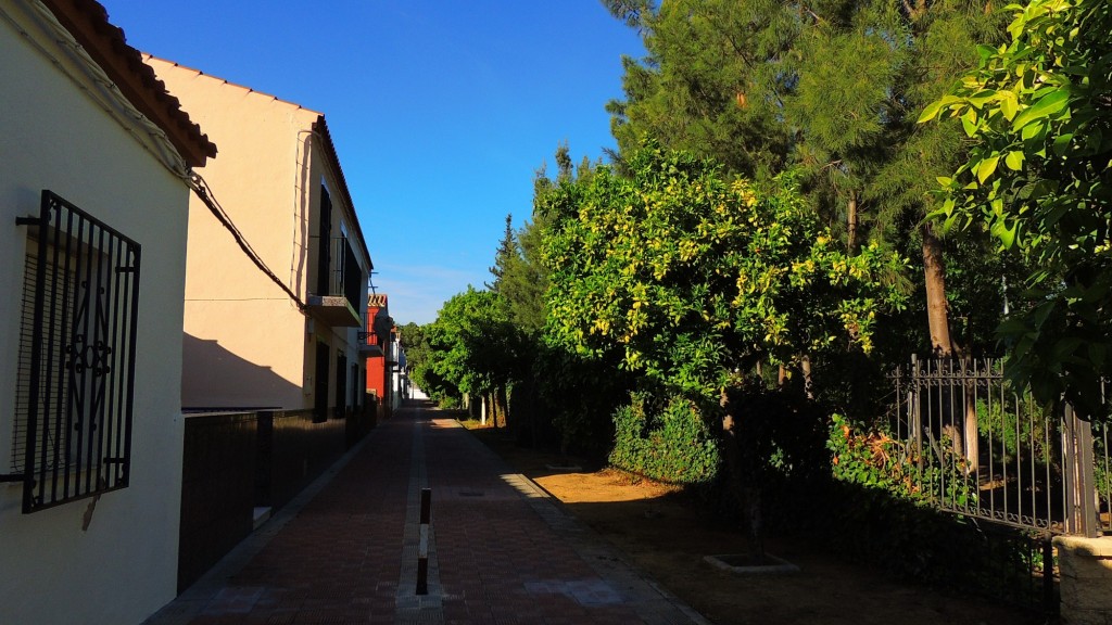 Foto: Calle Espejos - Trajano (Sevilla), España