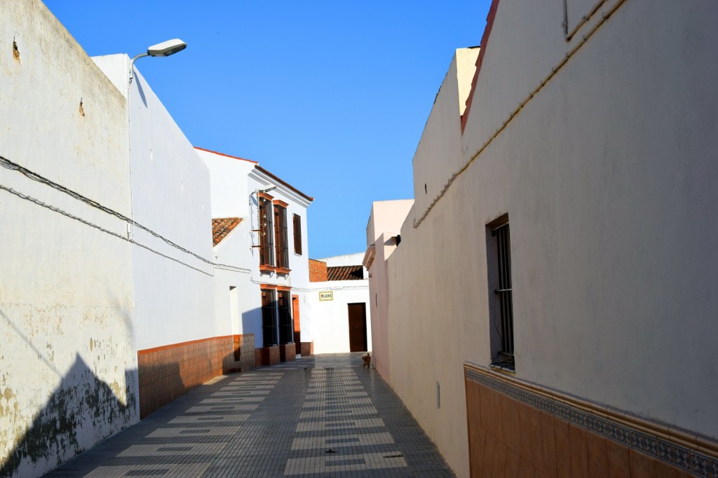 Foto: Calle Eucalipto - El Trobal (Sevilla), España