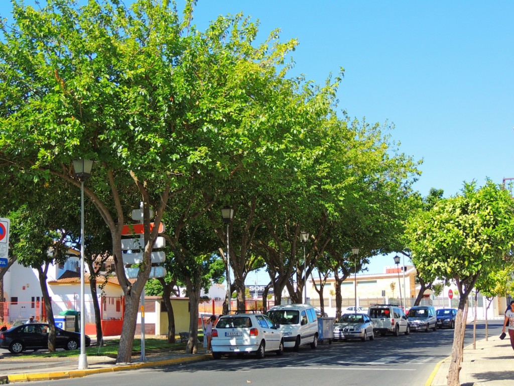 Foto: Calle Fuente nueva - Lepe (Huelva), España