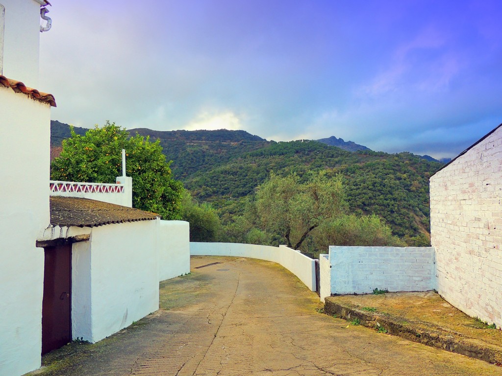 Foto: Calle Genalguacil - Benarrabá (Málaga), España