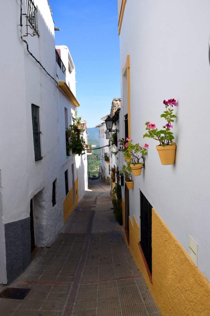 Foto: Calle Genalguacil - Algatocín (Málaga), España