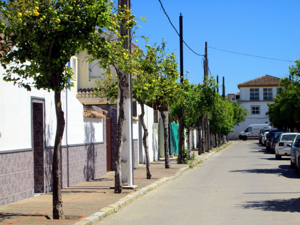 Foto: Calle Guarani - San Isidro (Cádiz), España