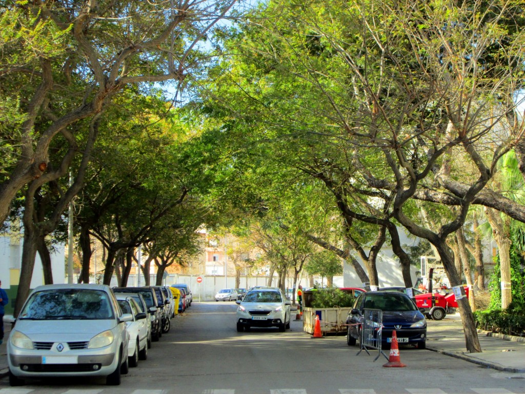 Foto: Calle Guadalmesi - Cádiz (Andalucía), España