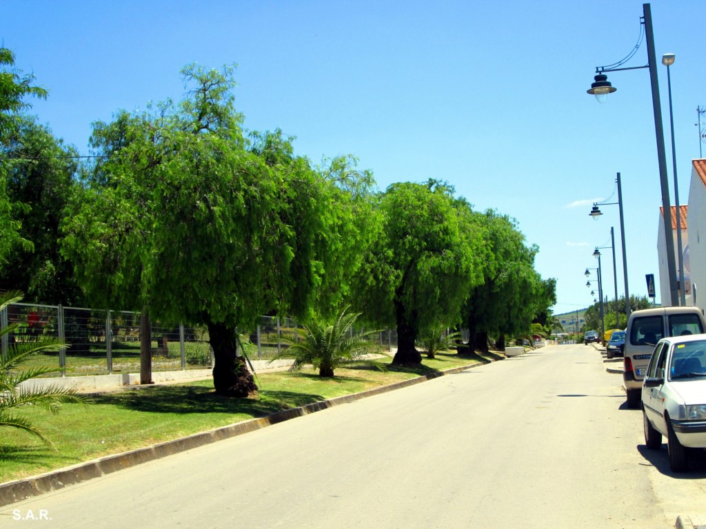 Foto: Calle Guadalete - El Torno (Cádiz), España