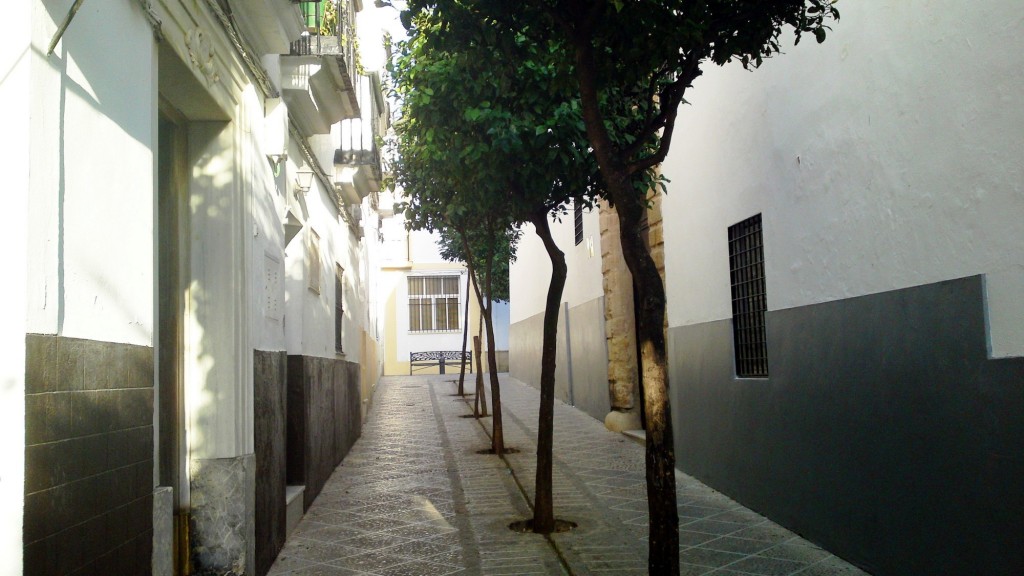 Foto: Calle Hércules - Medina Sidonia (Cádiz), España