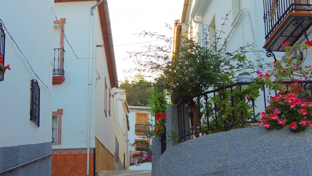 Foto: Calle Hospital - Ardales (Málaga), España