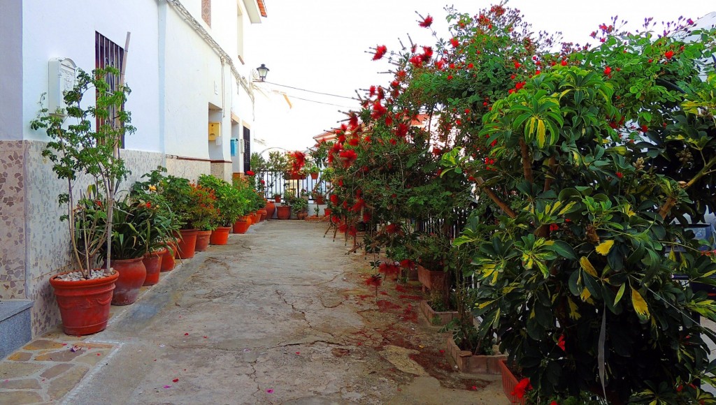 Foto: Calle Hospital - Ardales (Málaga), España