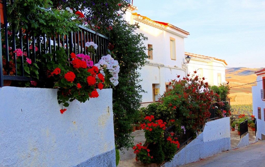 Foto: Calle Hospital - Ardales (Málaga), España