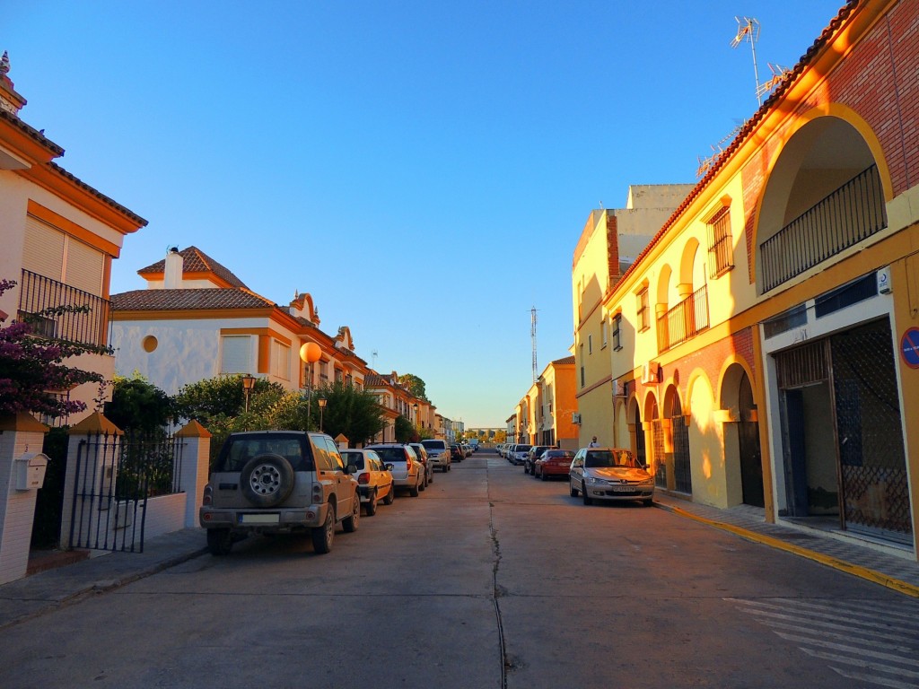 Foto: Calle Infanta Cristina - Isla Mayor (Sevilla), España