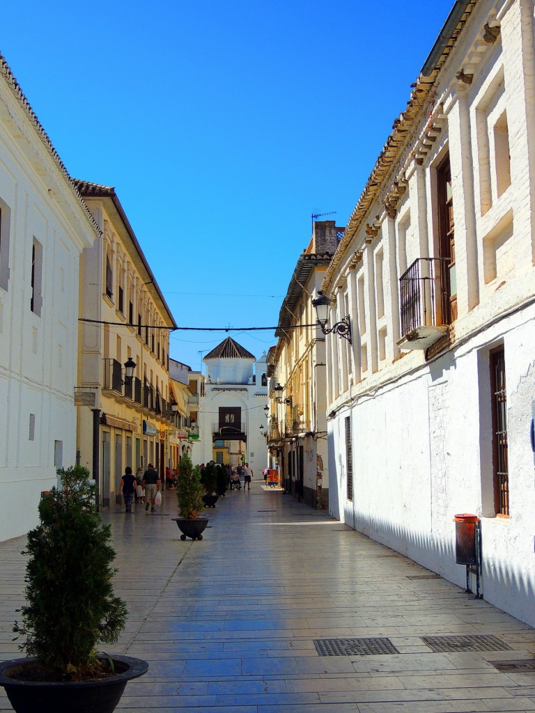 Foto: Calle Isabel la Católica - Santa Fé (Granada), España