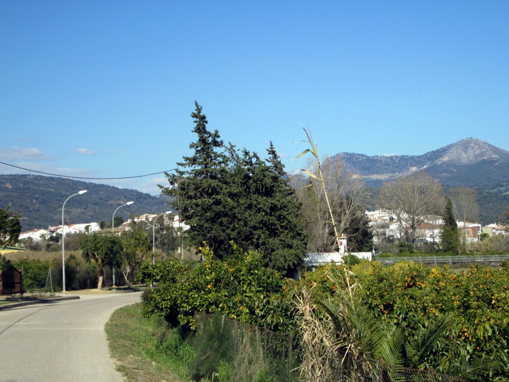 Foto: Calle Jilguero - San Fernando (Cádiz), España