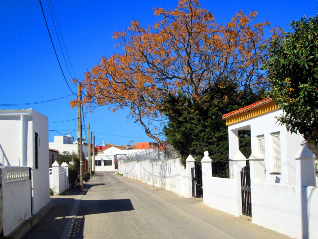 Foto: Calle José Quetar - San Fernando (Cádiz), España
