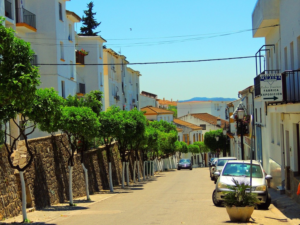 Foto: Calle Juan XXIII - El Bosque (Cádiz), España