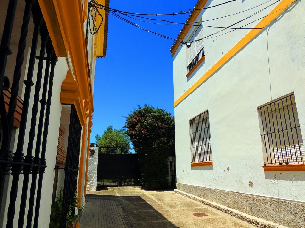 Foto: Calle La Calzada - El Bosque (Cádiz), España