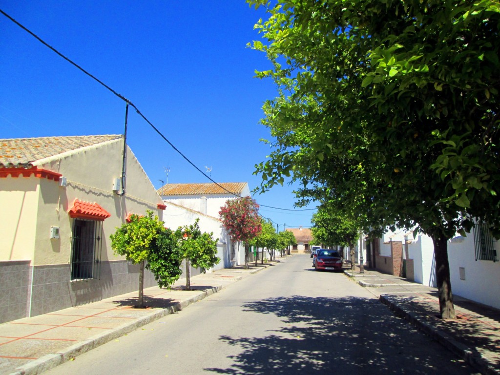 Foto: Calle La Fuente - San Isidro (Cádiz), España