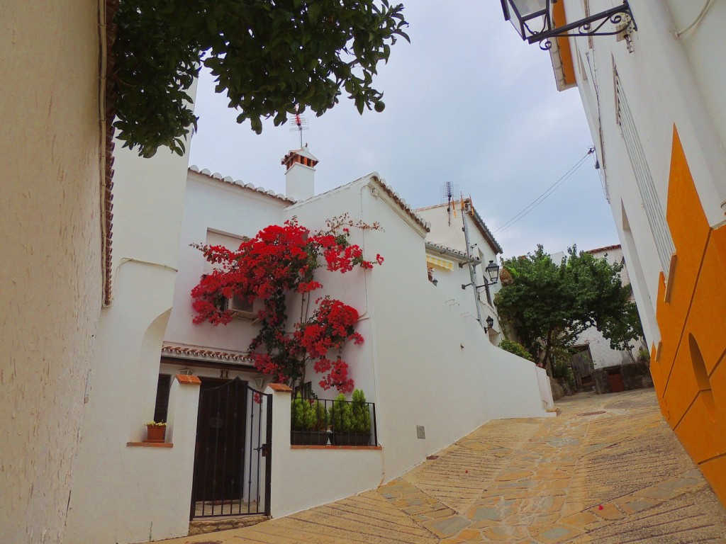 Foto: Calle La Cuestecita - Alpandeire (Málaga), España