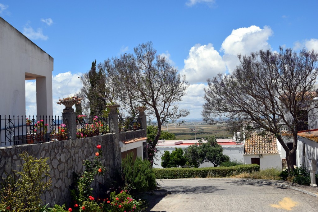 Foto: Calle La Janda - Facinas (Cádiz), España