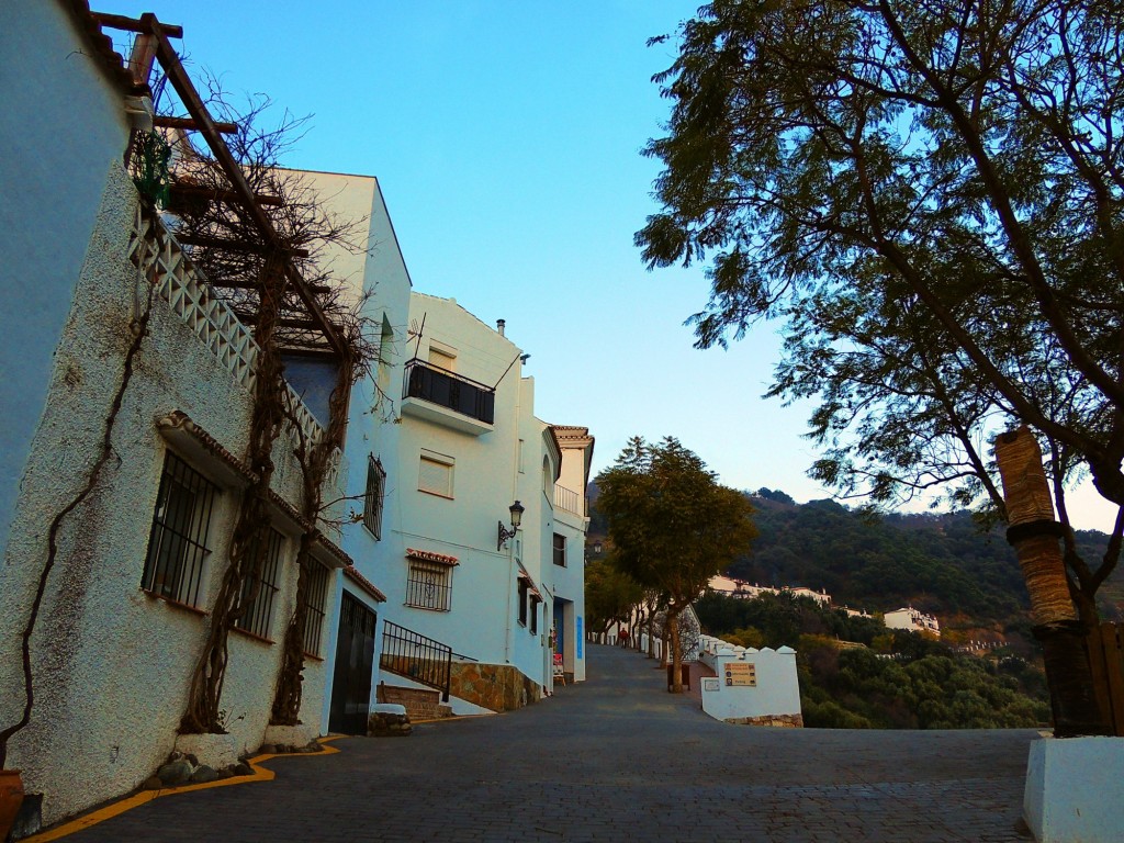 Foto: Calle La Lomilla - Genalguacil (Málaga), España