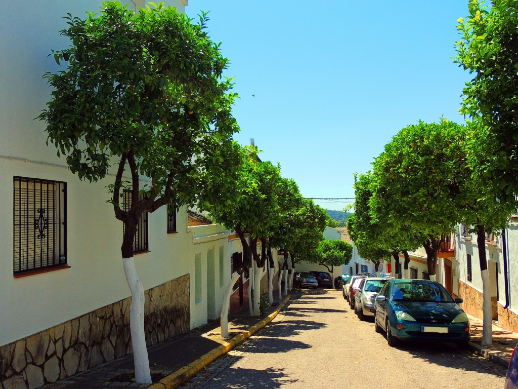 Foto: Calle La Rosa - El Bosque (Cádiz), España