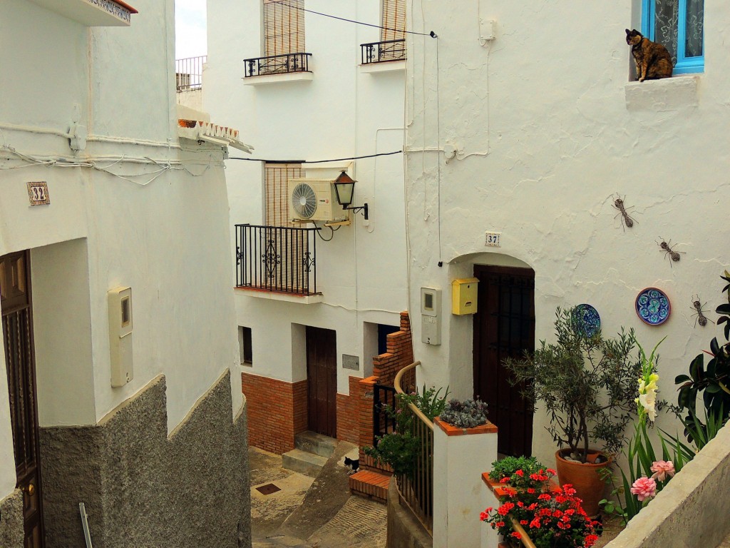 Foto: Calle Laberinto - Cómpeta (Málaga), España