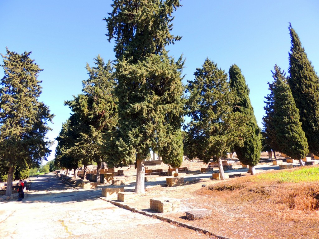 Foto: Conjunto Arqueológico de ITALICA - Santiponce (Sevilla), España