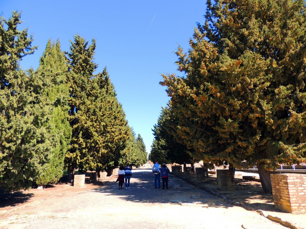 Foto: Conjunto Arqueológico de ITALICA - Santiponce (Sevilla), España